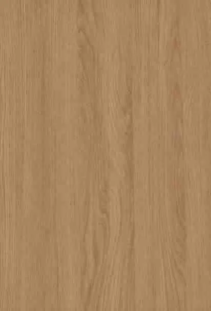 贝西山核桃